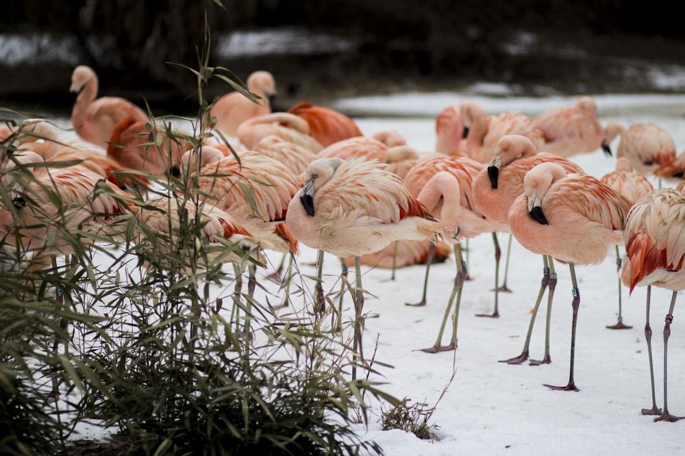 Вдохновение