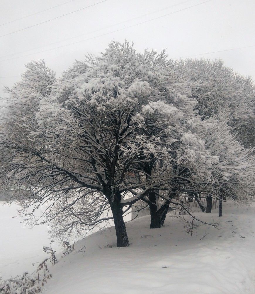 Photograph by Станислав Третьяков