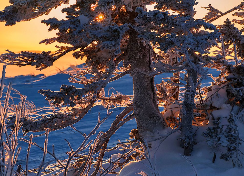 Розовое на синем