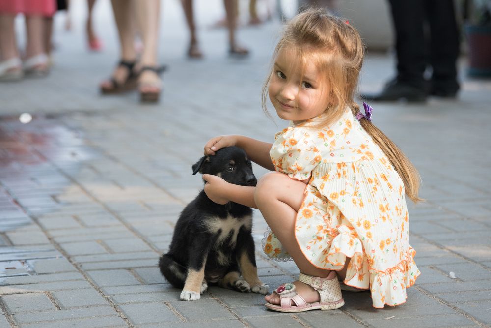 Девочка на ярмарке бездомных животных