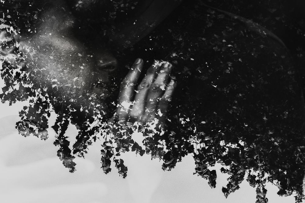 Photograph by Сергей Удовенко