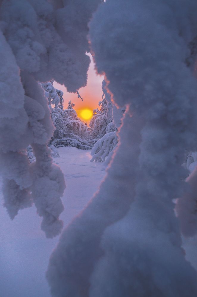 Photograph by Olga Akhmetova