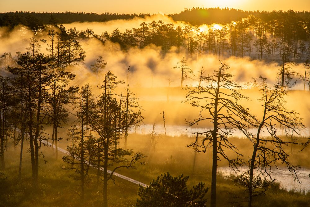 Photograph by Raigo Tõnisalu