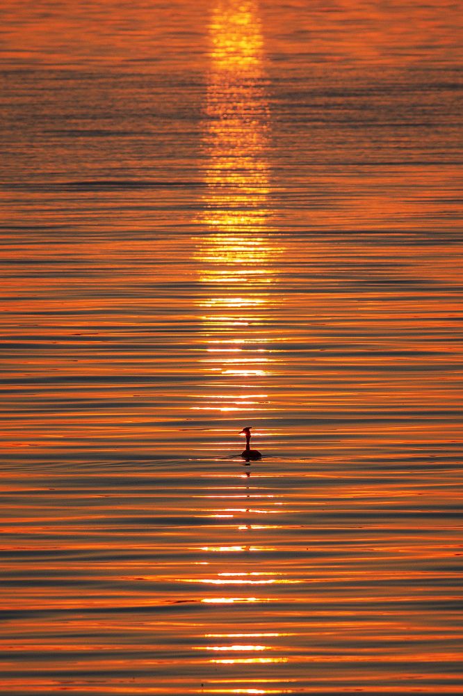 Фотография автора Леонид Никитин