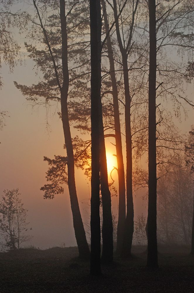 В лучах рассвета
