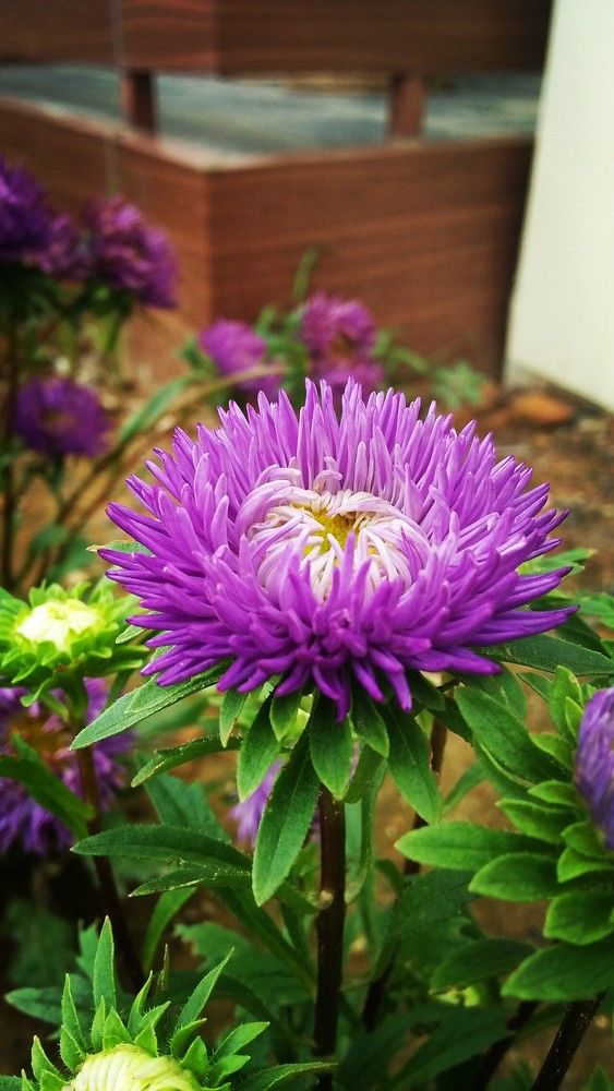 Photograph by Nishant Khadka