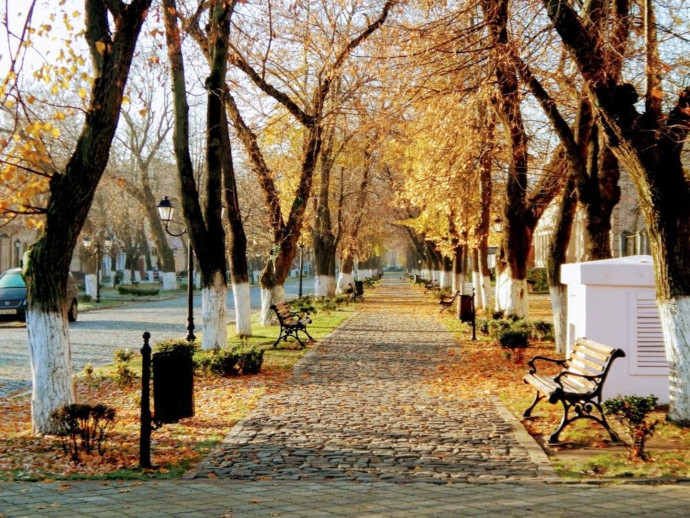 Photograph by Алена