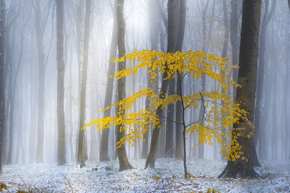 the coming of winter