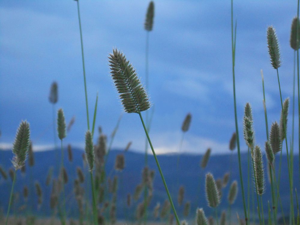 Photograph by Алёна Пестерева