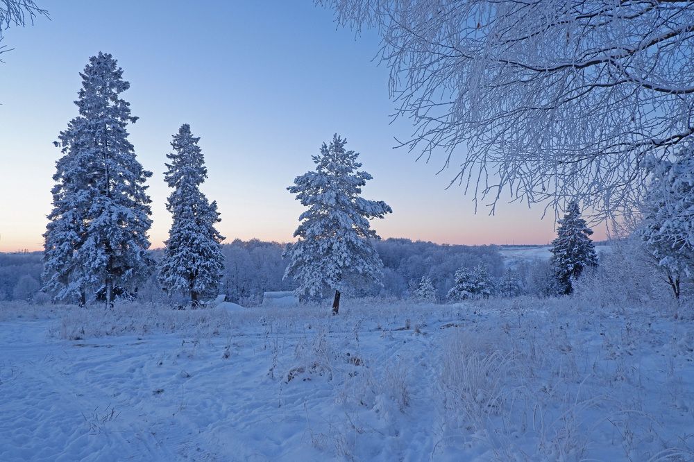 Начало зимы.