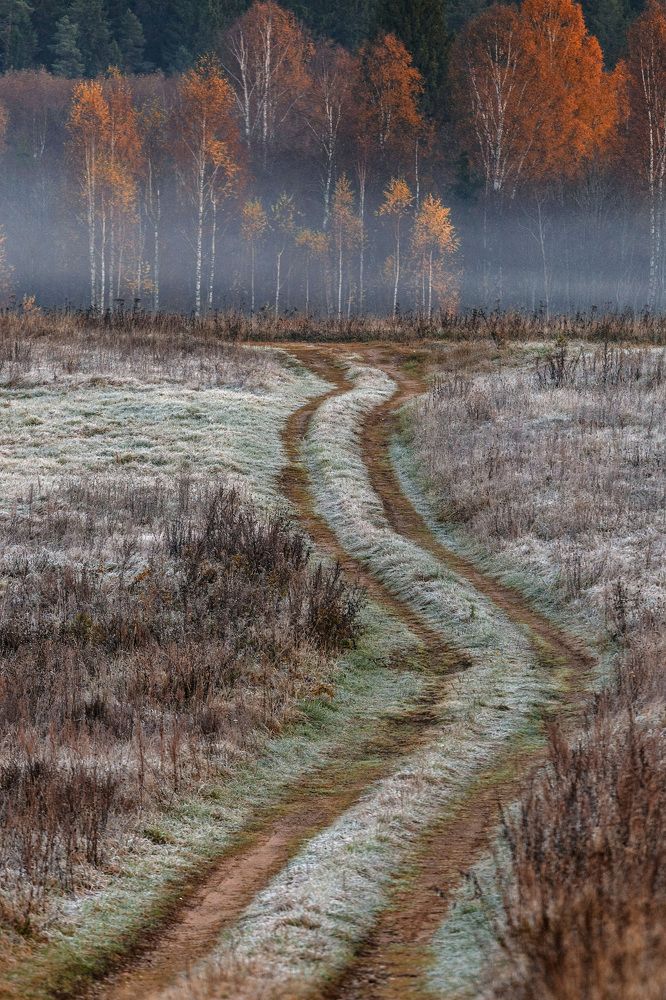 Дорога в осень