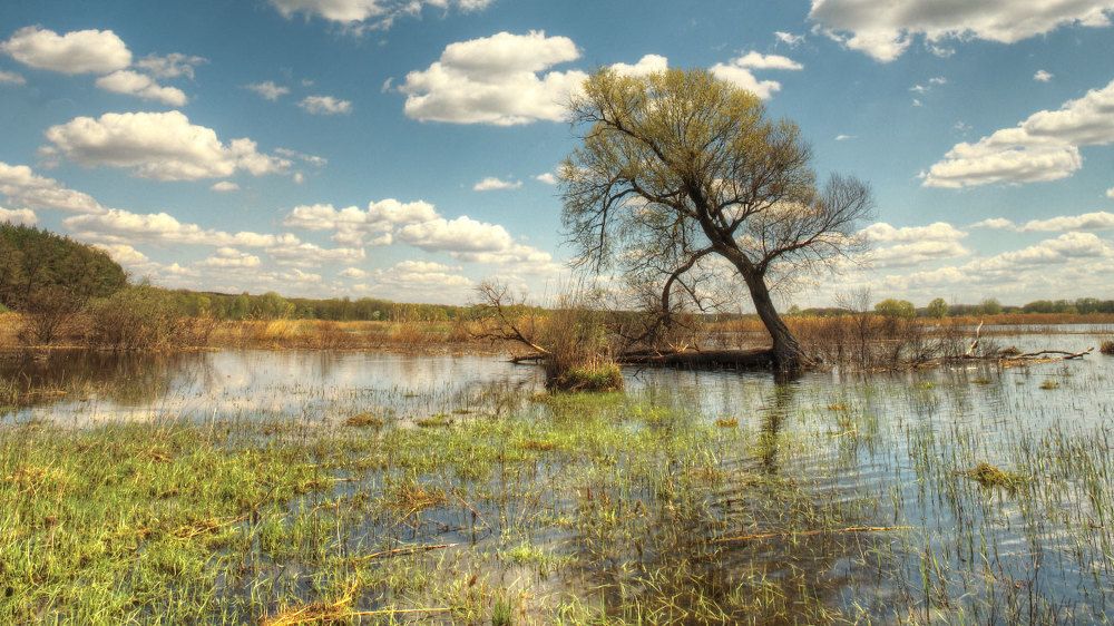 Весенние разливы