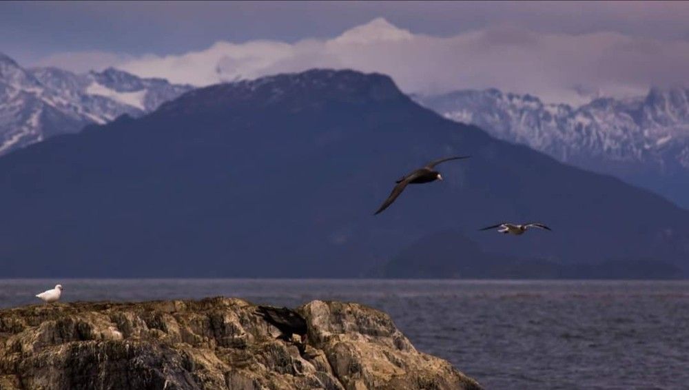 Ushuaia fin del mundo