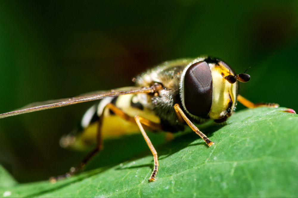 Photograph by moein vaezi