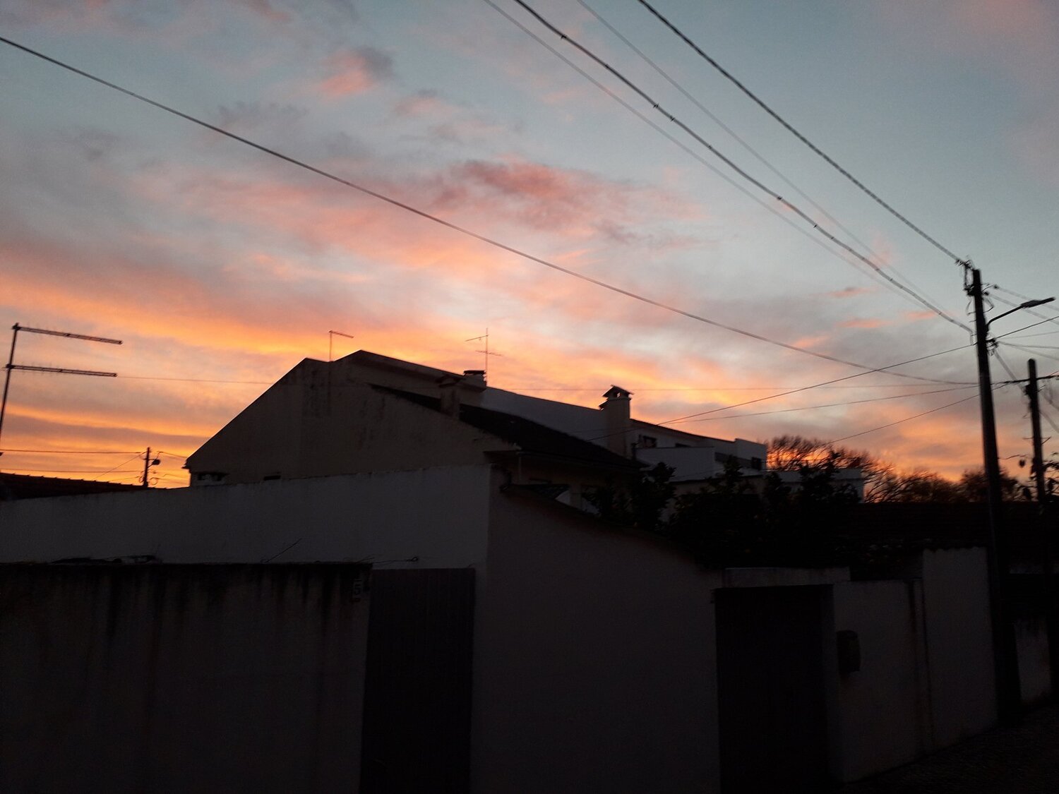 Photo #3029819