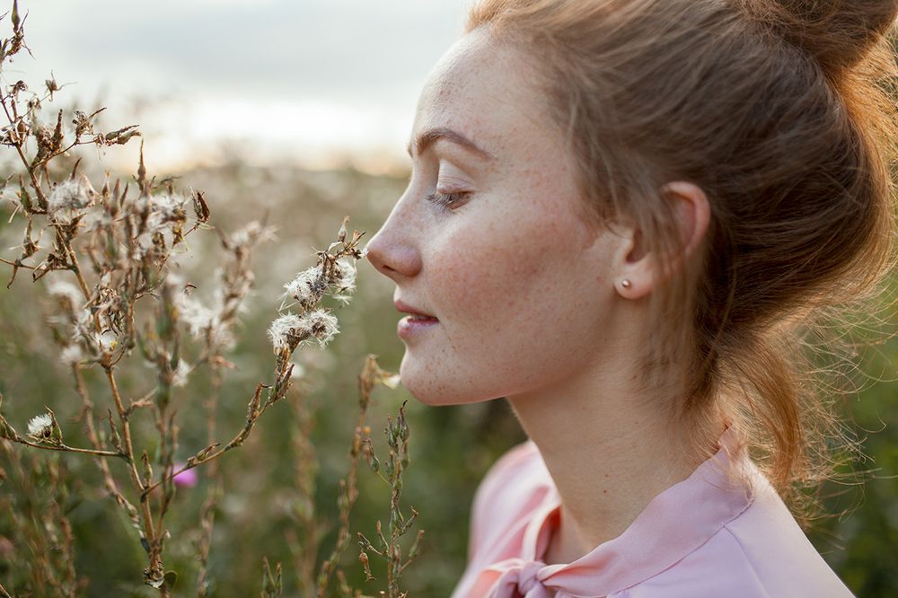 Photograph by Чистяков Вячеслав