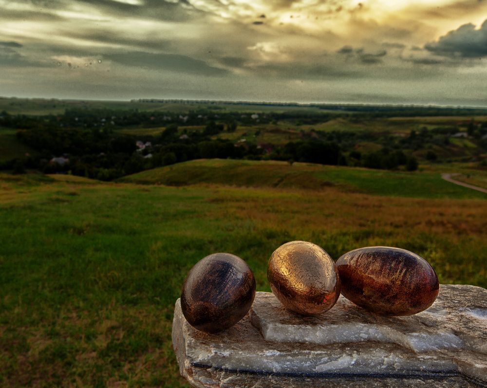 первоисточник жизни пернатых
