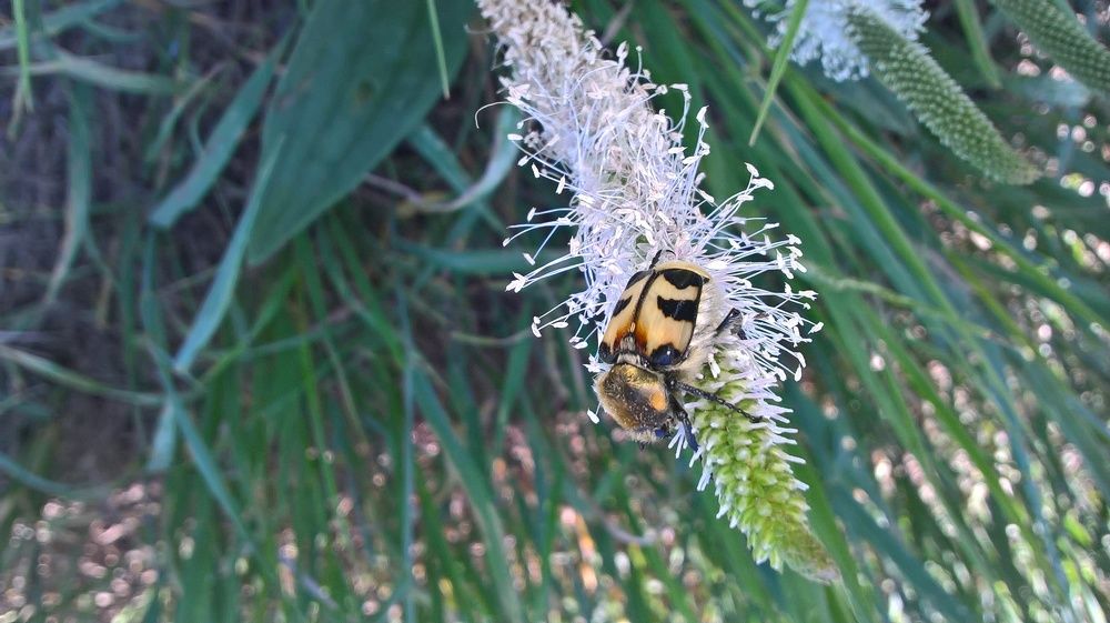 Photograph by Ольга