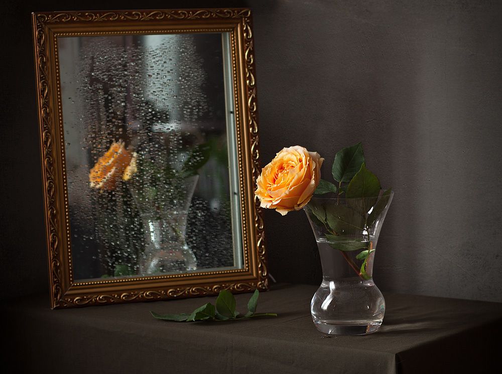 Фотография автора Алина Ланкина