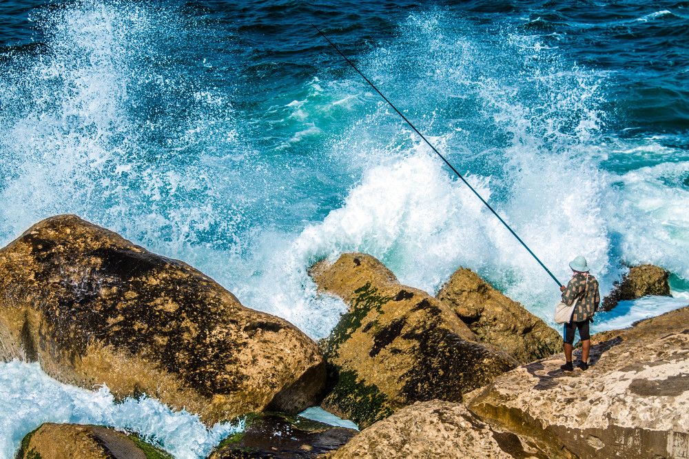 The Fisherman
