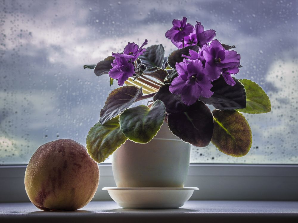 А за окном дождь...