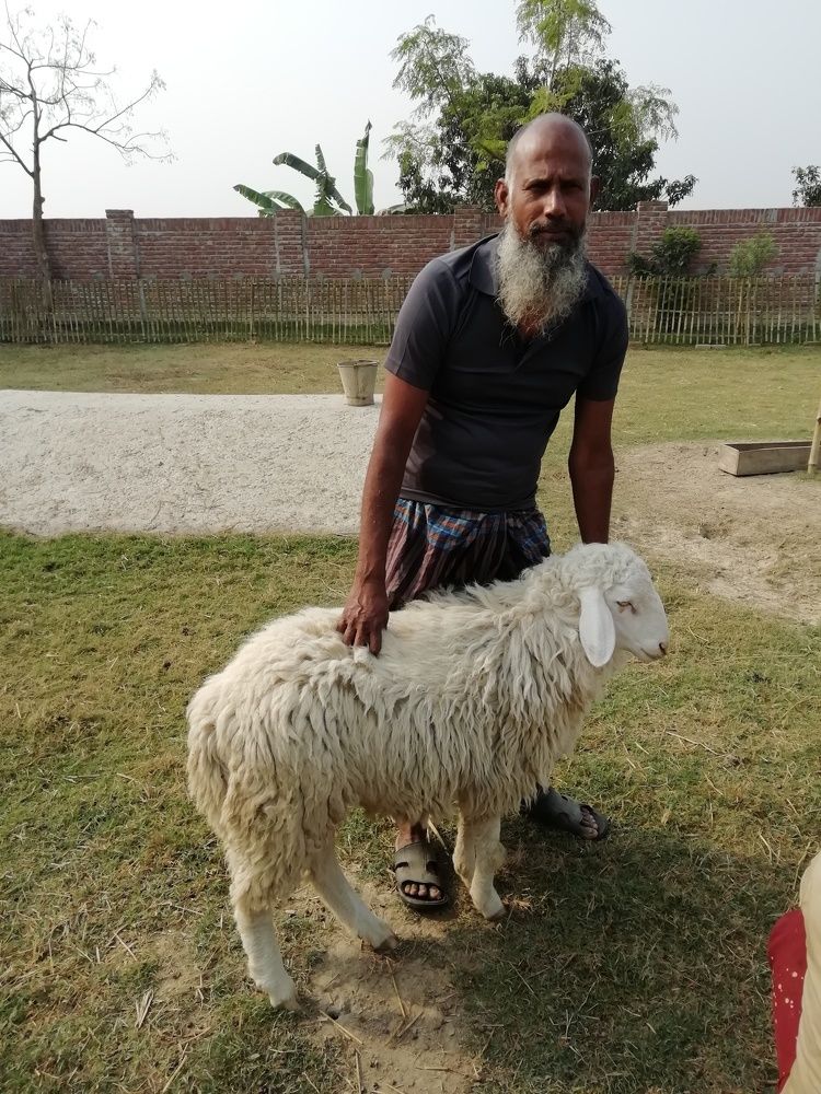Sheep farming bringing happiness to the poor.