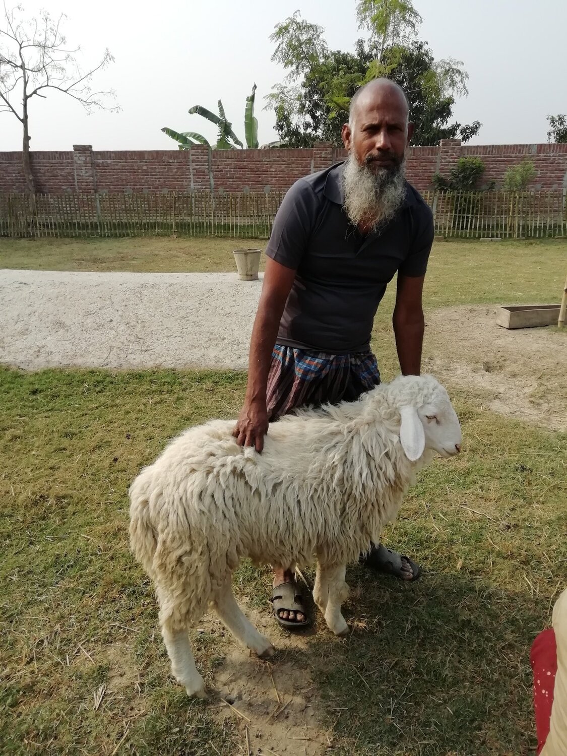 Sheep farming bringing happiness to the poor.