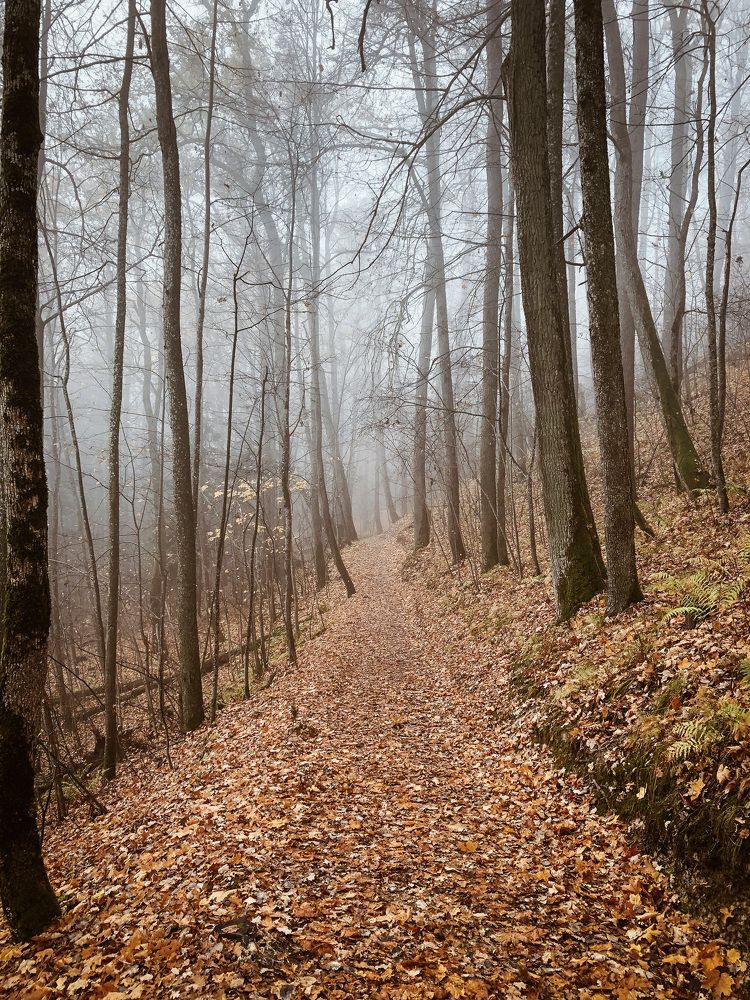 Photograph by Ольга Швили