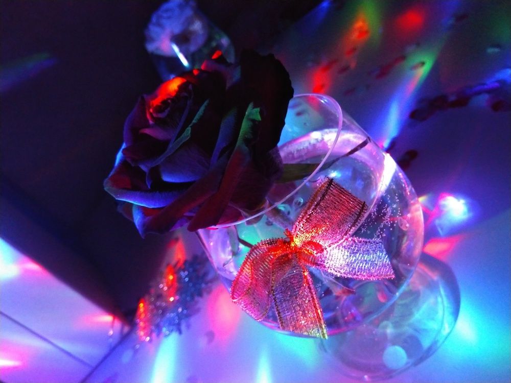 Общение на языке цветов..