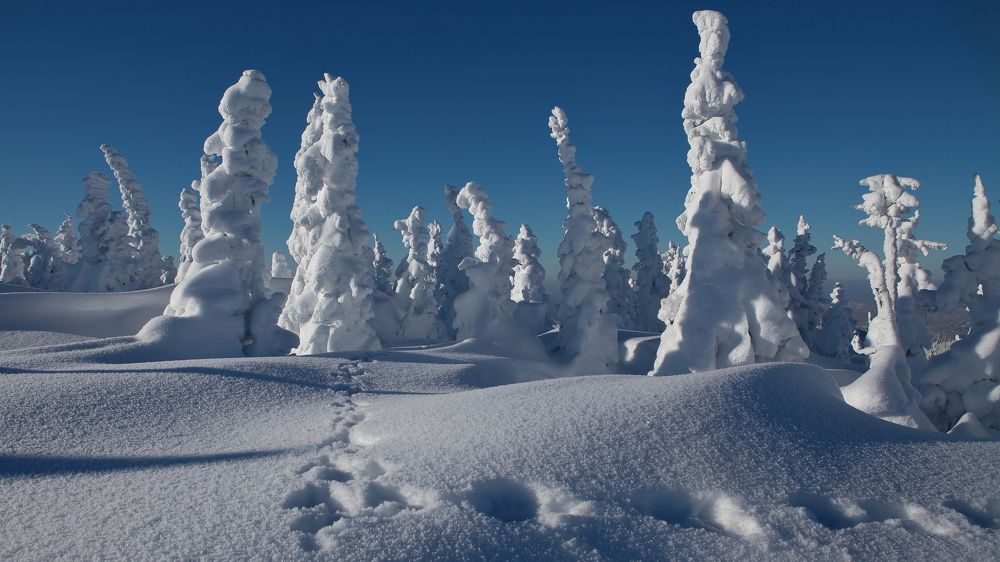 Photograph by Александр Полюдов