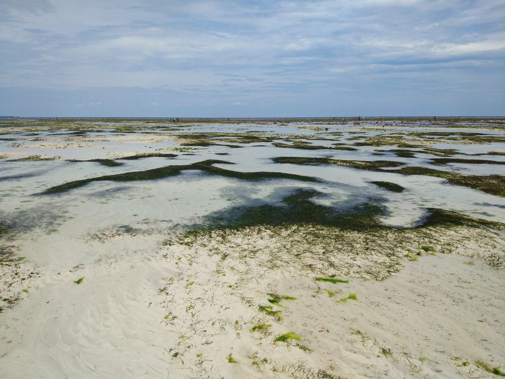 Дно морское