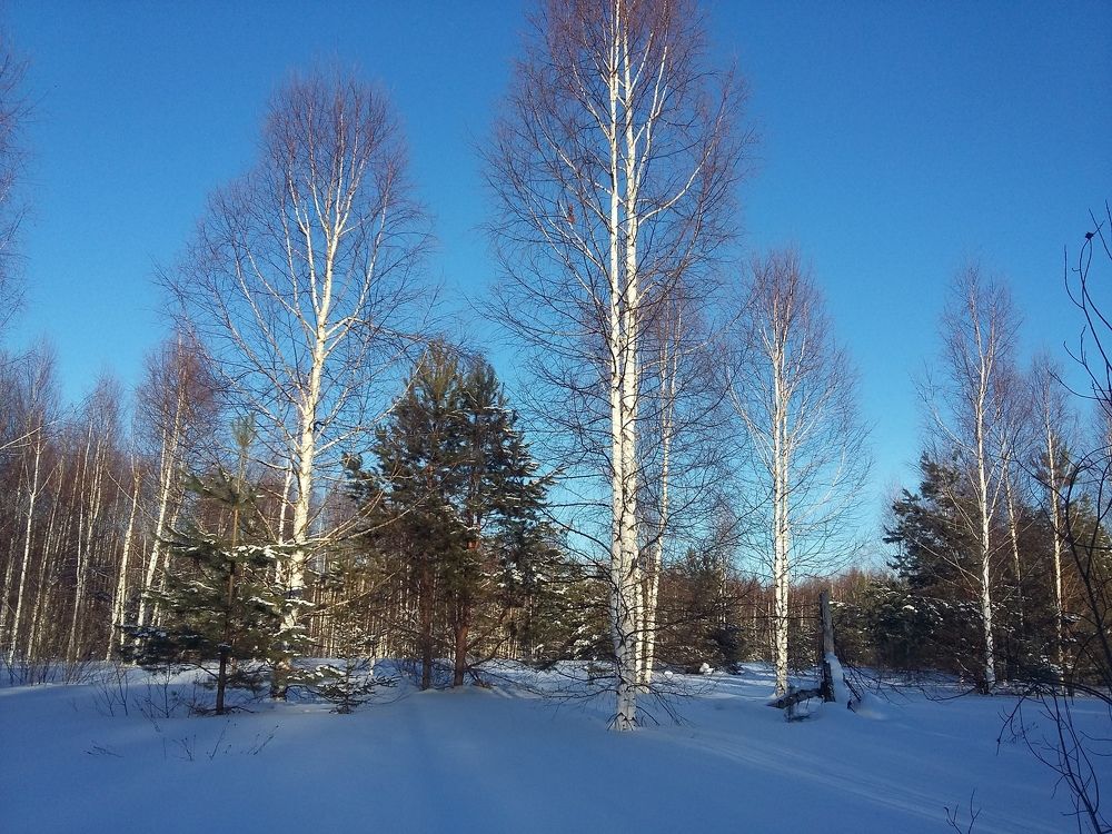 Photo #3030380