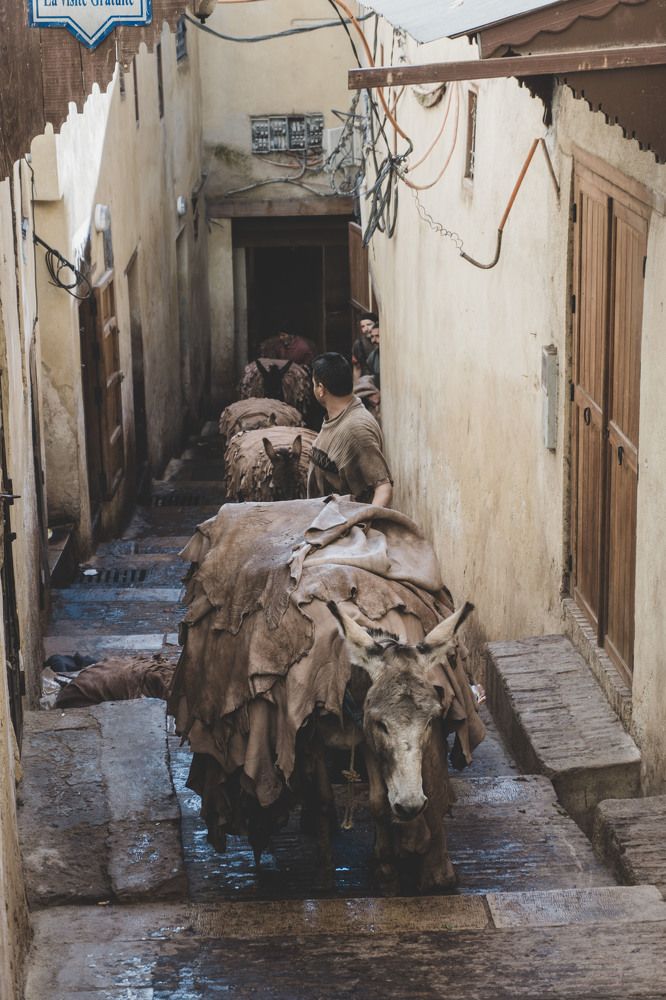 Busy morning in Tannery