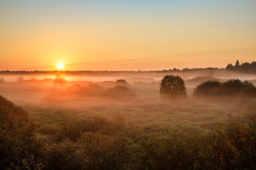Сентябрьское утро