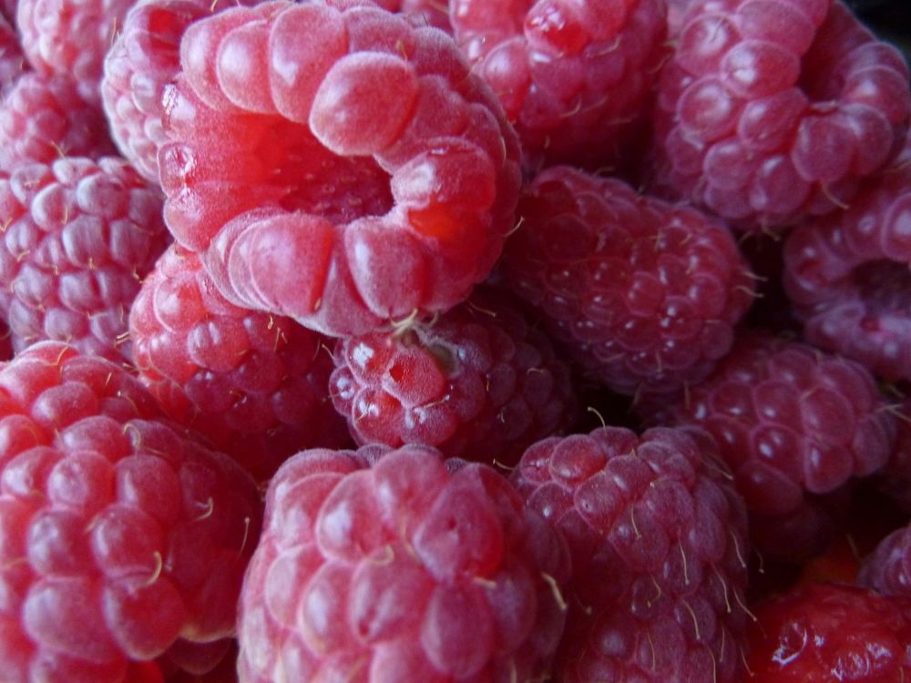 Вкус Лета!..