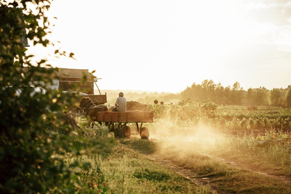 Photograph by Анна