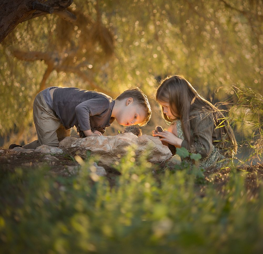 Давай дружить!