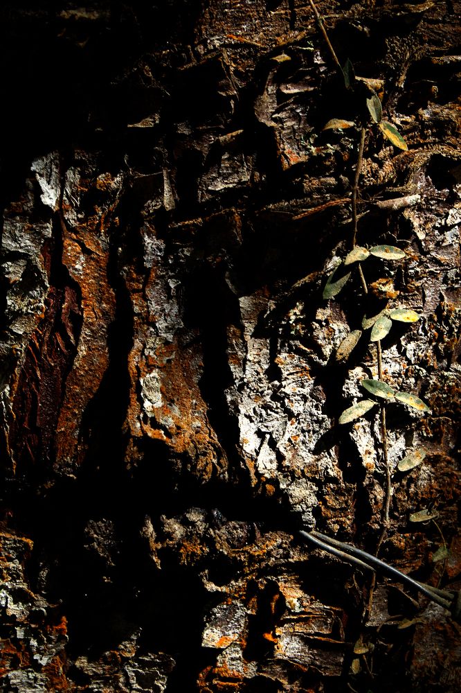 Jealousy and Prejudice