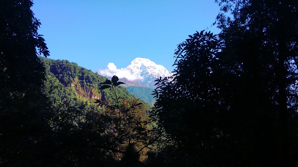 Mt. Dhaulagiri