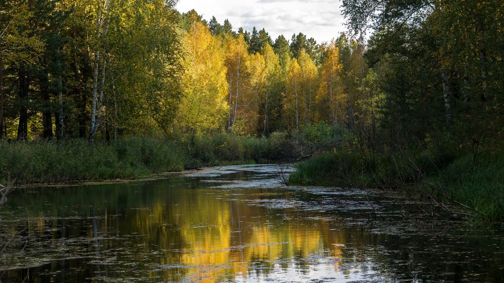 Зауральская осень