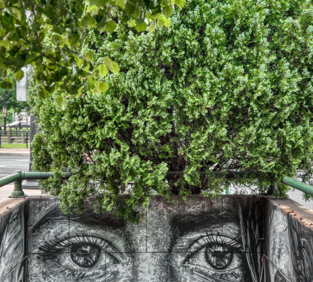 Photograph by Alexandra Kotlyar