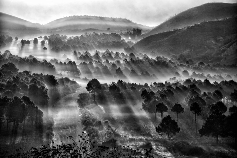 A Cold Winter Morning