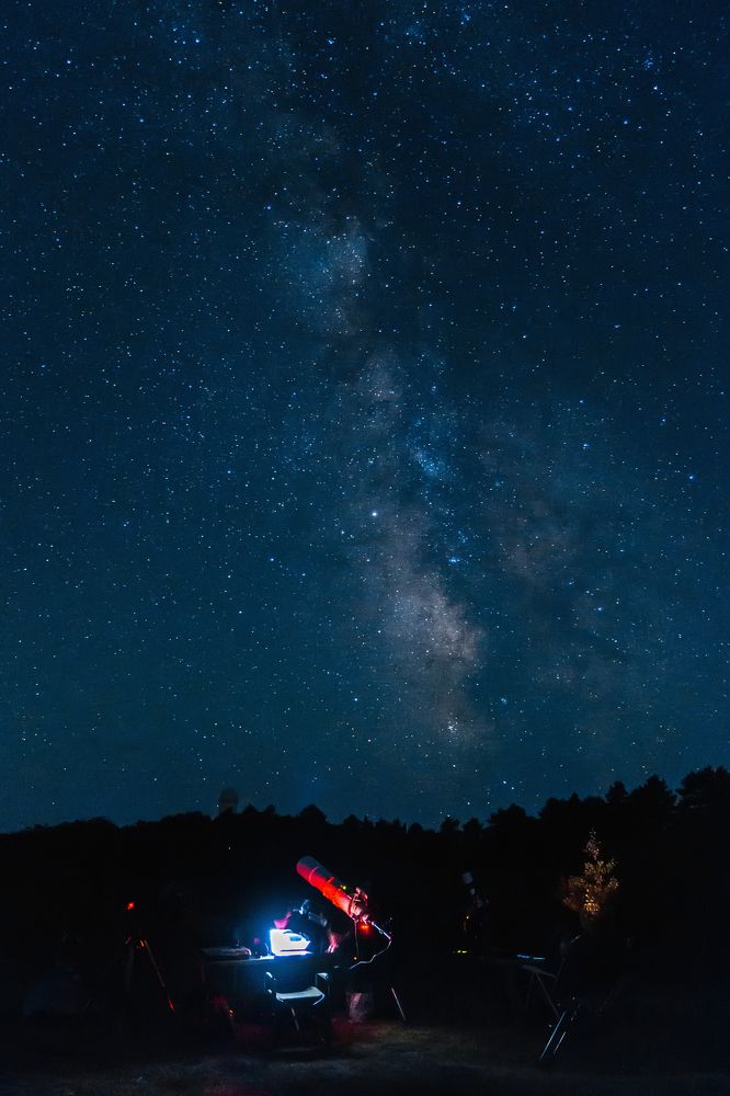 Наблюдатели