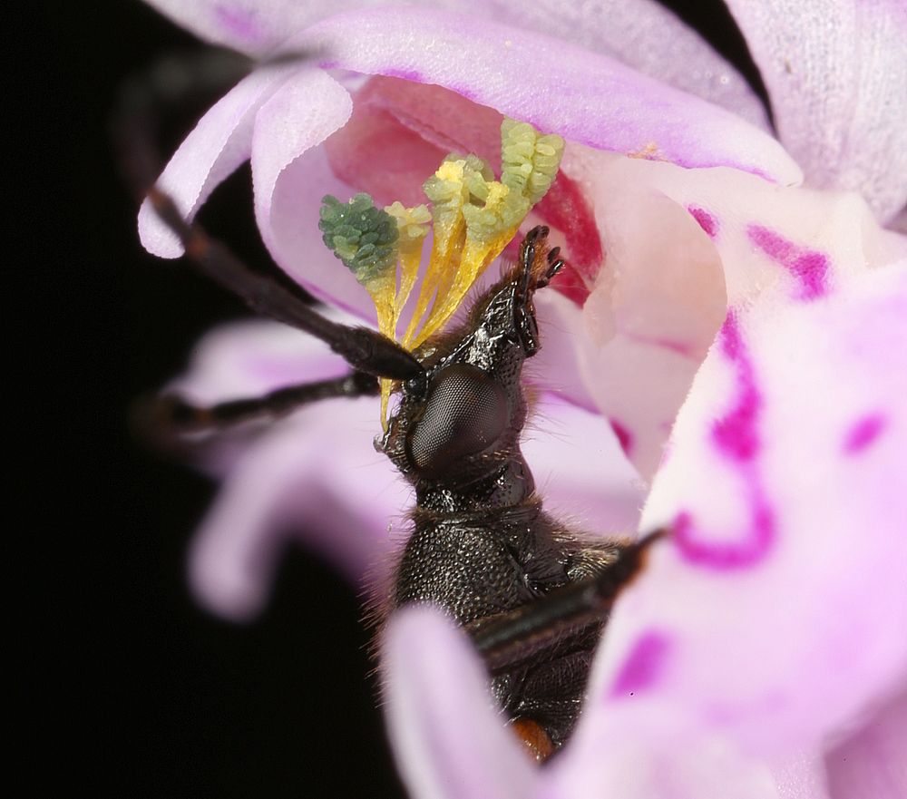 Решающий момент