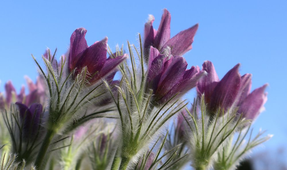 Навстречу солнцу