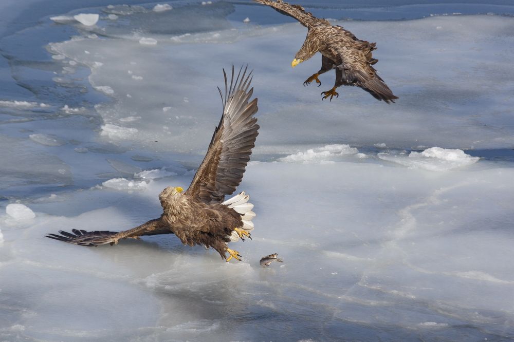 Почти античная трагедия