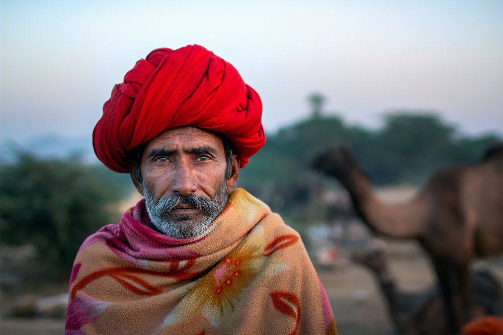 A Tensed Camel Shepherd at Pushkar