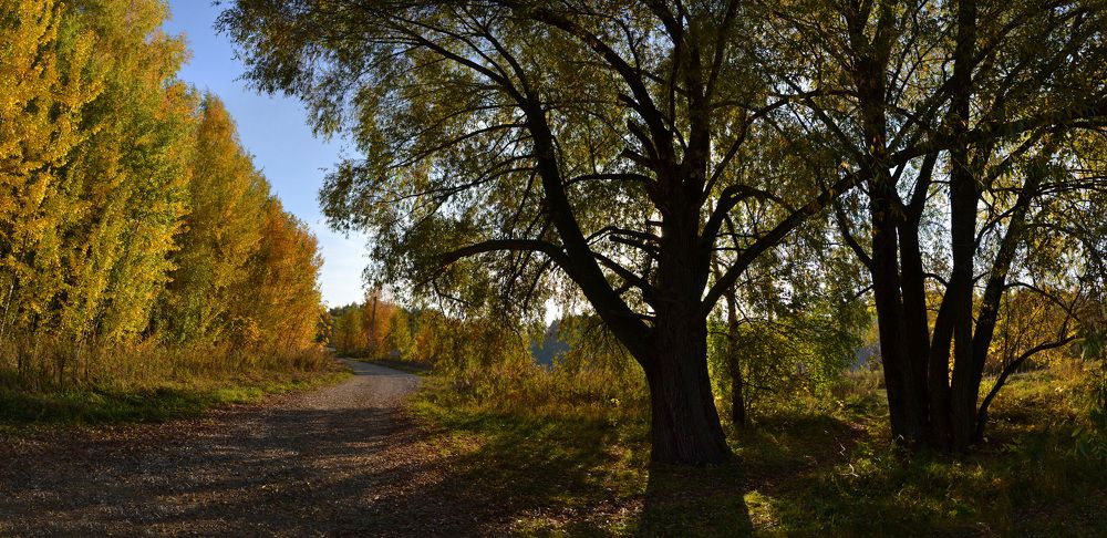 Щукинский полуостров