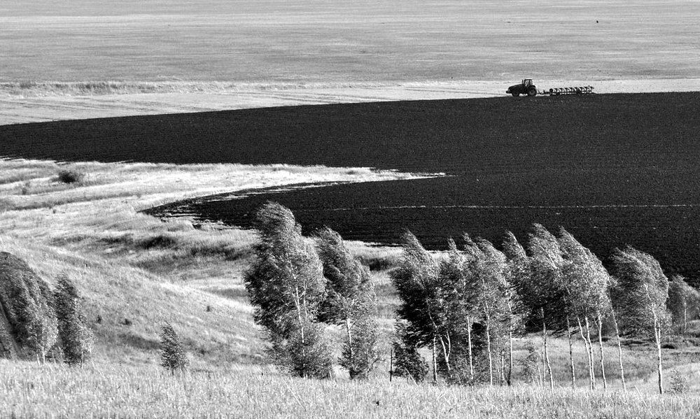 Photograph by Степанов Евгений