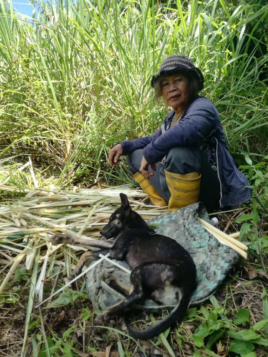 Tuhau